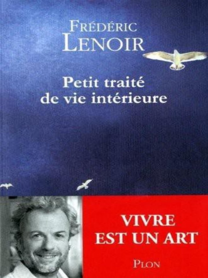 Cover extracted from the PDF of A Short Treatise on the Inner Life, by Frédéric Lenoir, French Edition